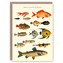 Histoire des Poissons pattern book card