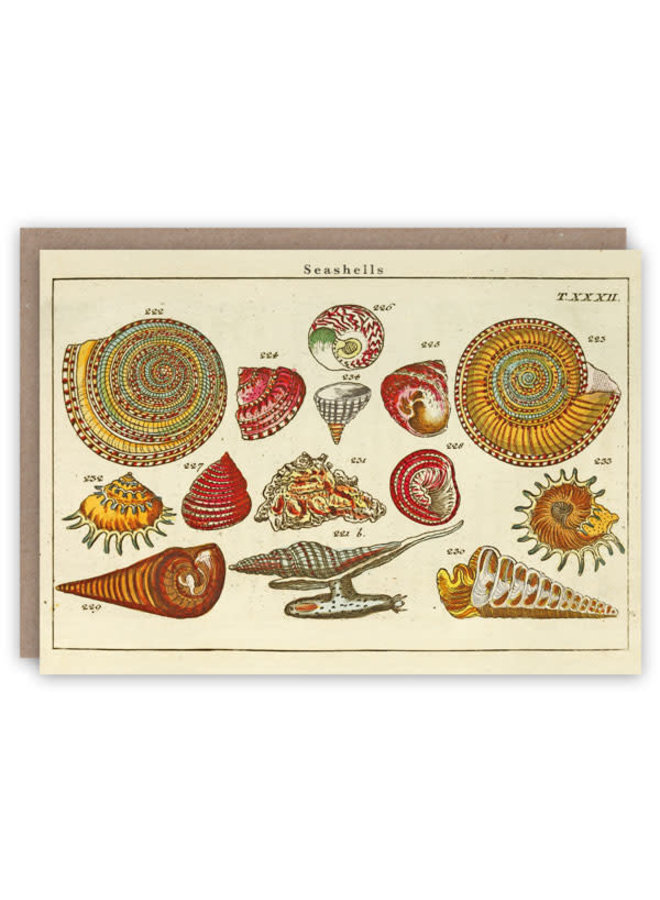 Sea Shells pattern book card