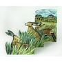 Hares and Open Fields 3Dcard av Angela Harding