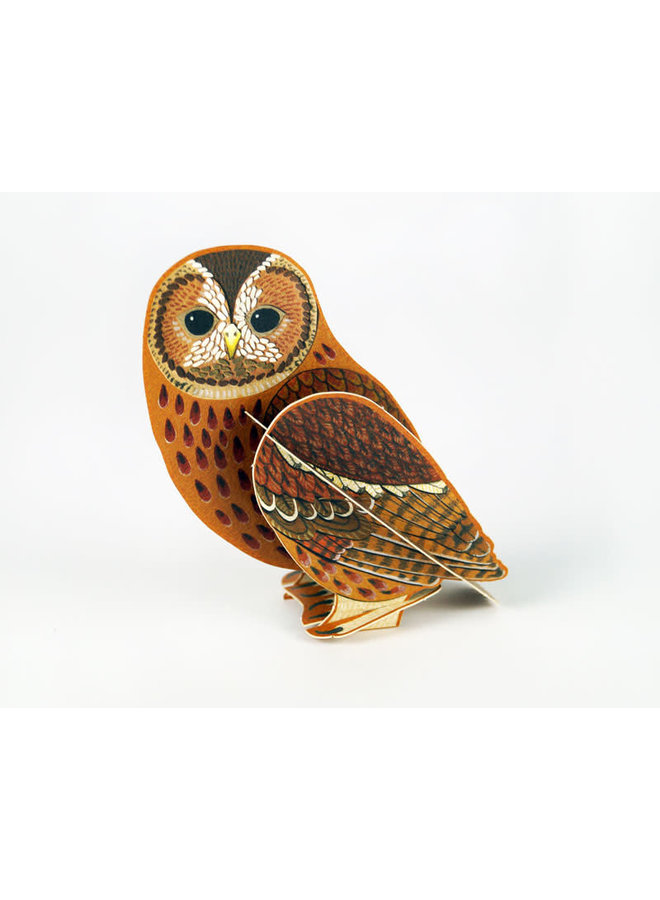 Tawny Owl Pop-Out-Karte von Alice Melvin