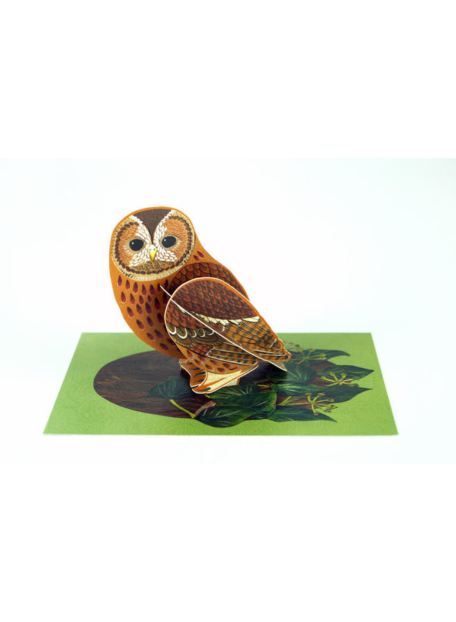 Tawny Owl Pop-Out-kort av Alice Melvin