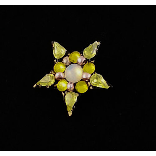 Annie Sherburne Stergele broche 185 Annie Sherburne Stergele broche 185