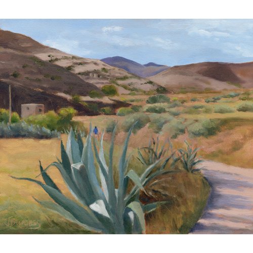 Jane Burgess Sendero Presillas Bajas 016 Jane Burgess Sendero Presillas Bajas 016