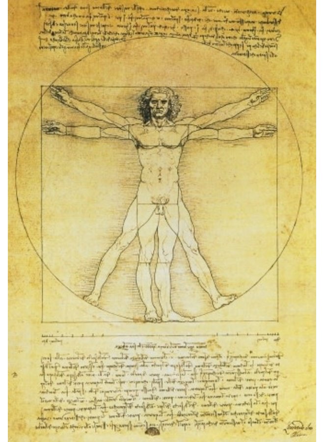 Vitruvian Man by de Vinci140x140mm card