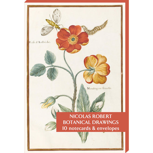 Fitzwilliam Museum Botaniska teckningar av Nicolas Robert 10 Notecard Pack Fitzwilliam Museum Botaniska teckningar av Nicolas Robert 10 Notecard Pack