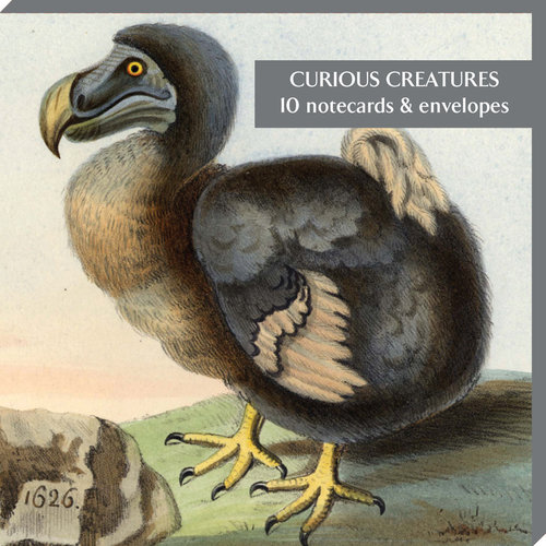 Fitzwilliam Museum Neugierige Kreaturen 10 Notecard Pack Fitzwilliam Museum Neugierige Kreaturen 10 Notecard Pack