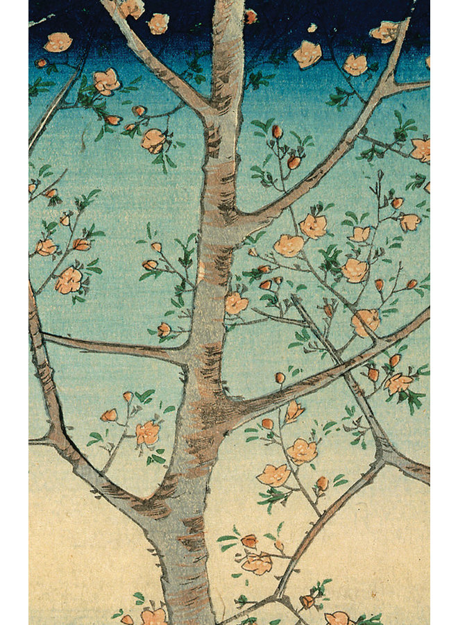 Japanese Blossoms 10 Notecard Pack