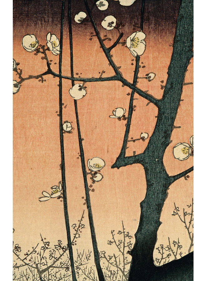 Japanese Blossoms 10 Notecard Pack