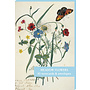 Pack de 10 cartes de notes de fleurs des prés