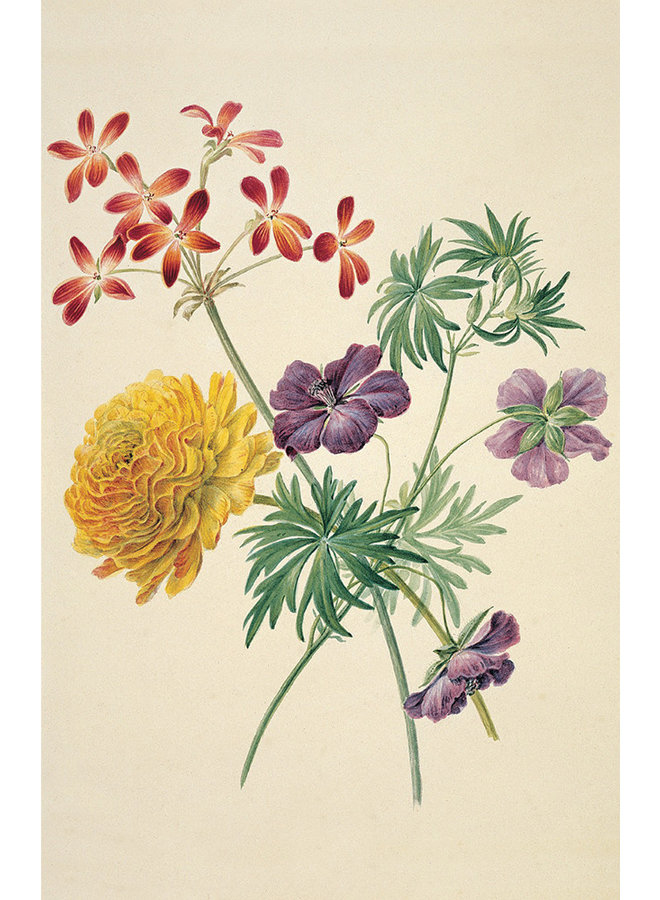 Wiesenblumen 10 Notecard Pack