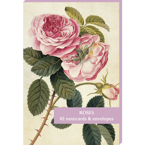 Fitzwilliam Museum Rosen 10 Notecard Pack Fitzwilliam Museum Rosen 10 Notecard Pack