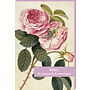 Pack de 10 cartes de notes Roses