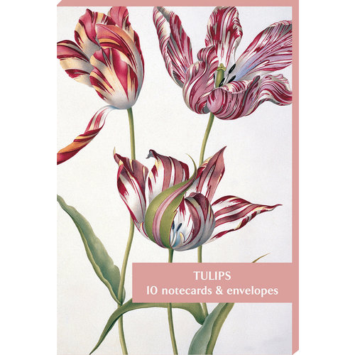 Fitzwilliam Museum Tulpaner 10 Notecard Pack Fitzwilliam Museum Tulpaner 10 Notecard Pack