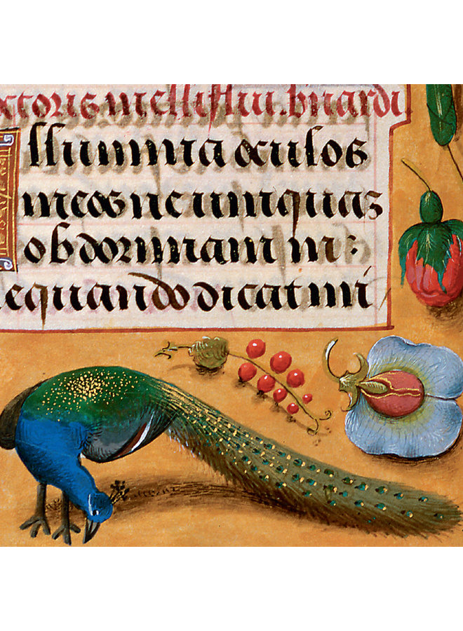 Peacock on Floral Boarder Libro de horas 1490 Tarjeta