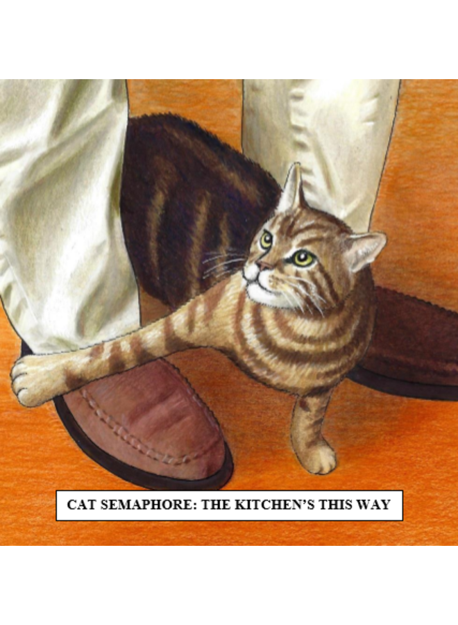 Cat Semaphore Humorous  Cat card 24