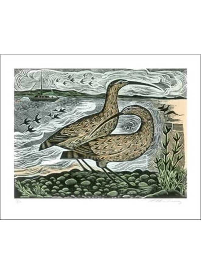 Two Curlews on the Deben by Angela Harding