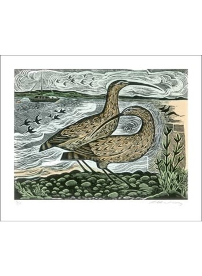 Two Curlews on the Deben av Angela Harding