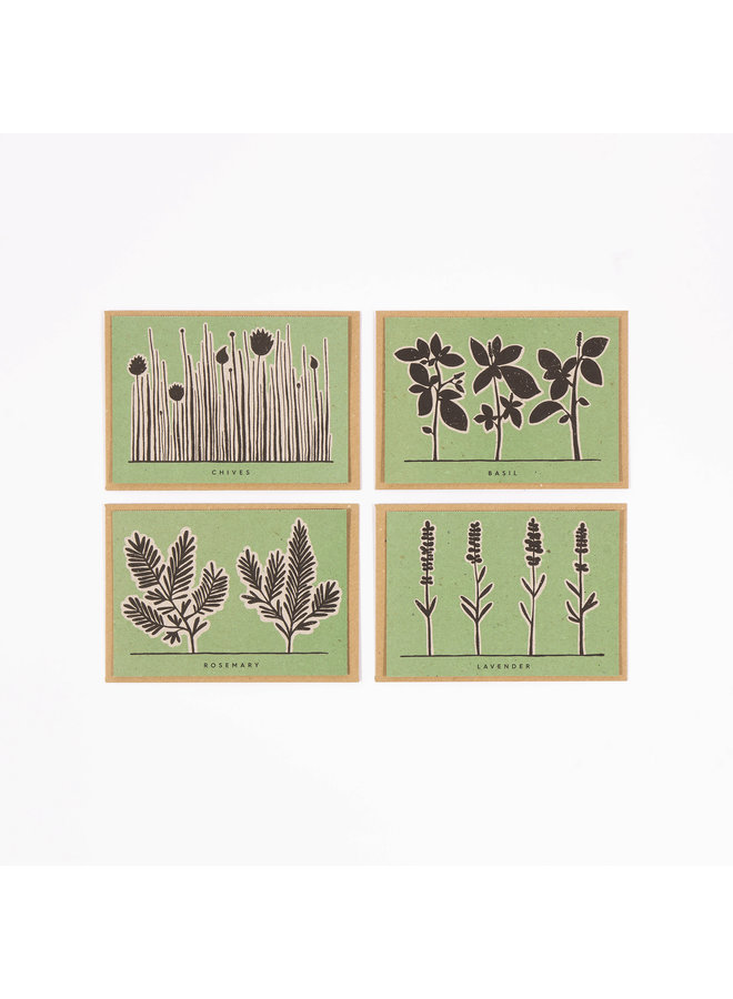 Garden Herbs Recipe Notecards 12