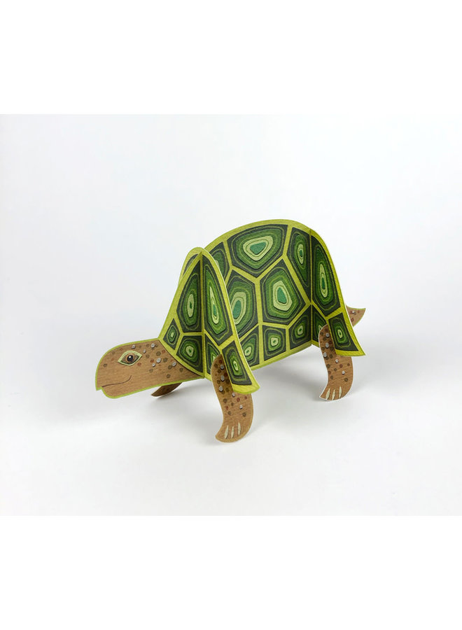 Tortoise Pop-Out card byAlice Melvin