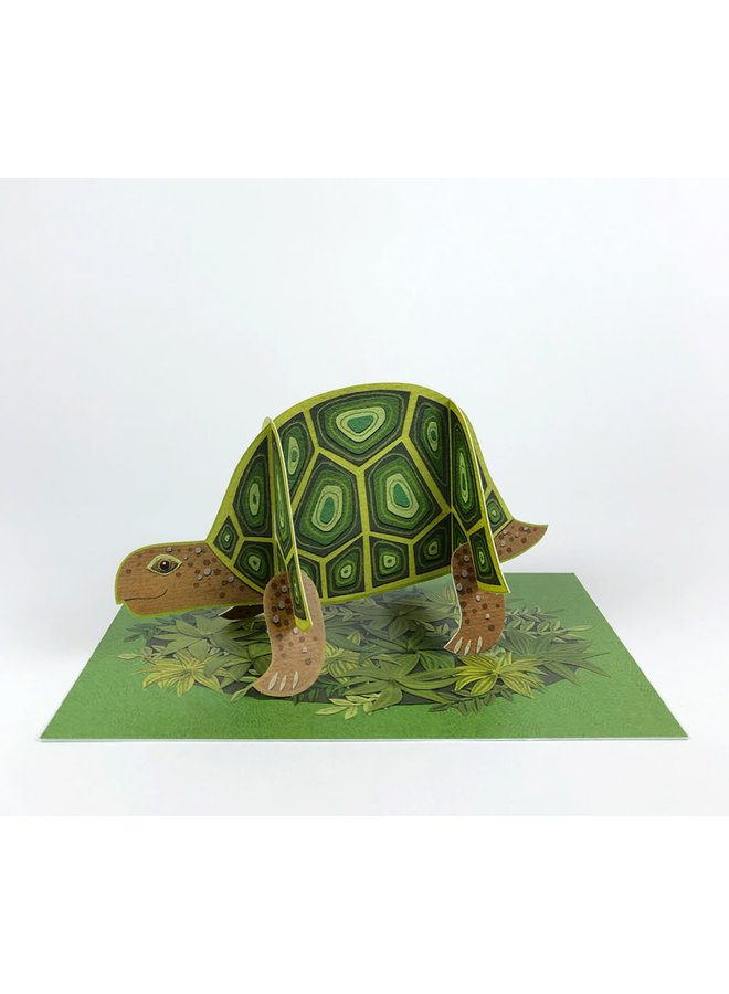 Schildkröten-Pop-Out-Karte von Alice Melvin