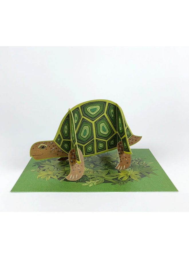 Tortoise Pop-Out card byAlice Melvin
