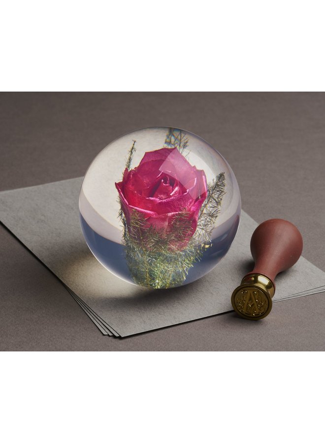 Rote Rose, echte Blume, Briefbeschwerer 12