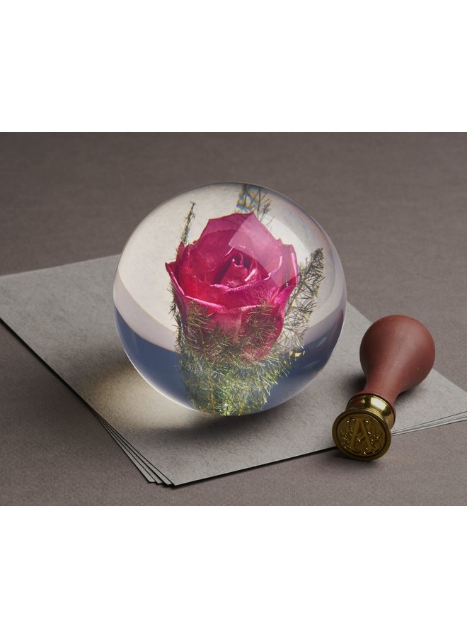 Red Rose real flower paper weight 12