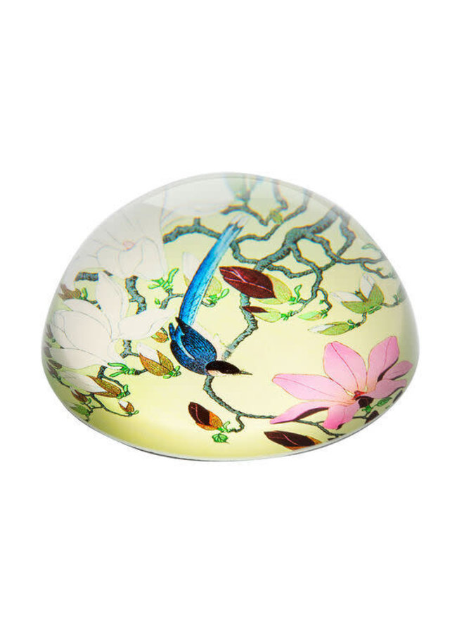 Magpie and Magnolia by Kosn  Paperweight 095