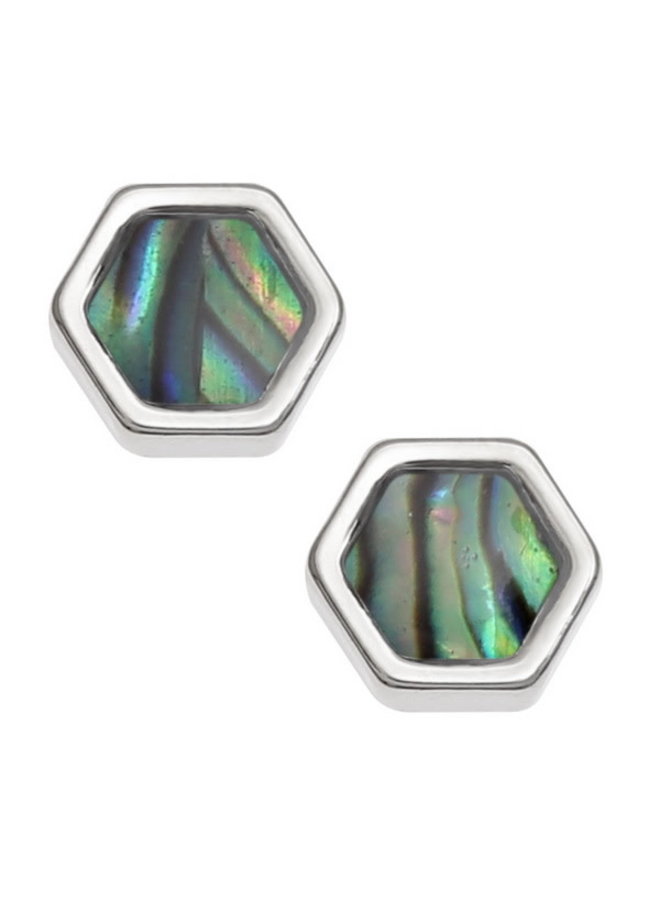 Honeycomb Inlaid Paua shell  Stud Earrings T757