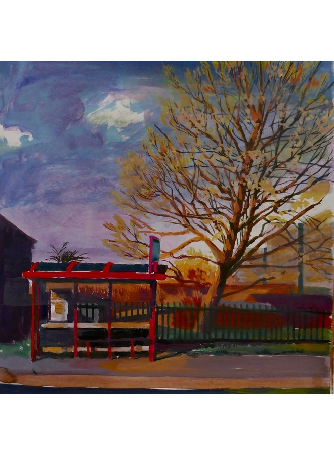 Frühlingssonne Bradford 057