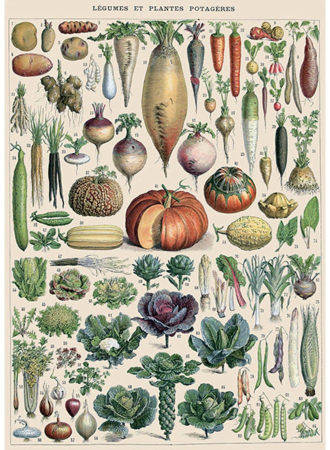 The Glory of Vegetables   Card