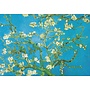 Blooming Almond Tree by Vincent Van Googh 180x 140mm card