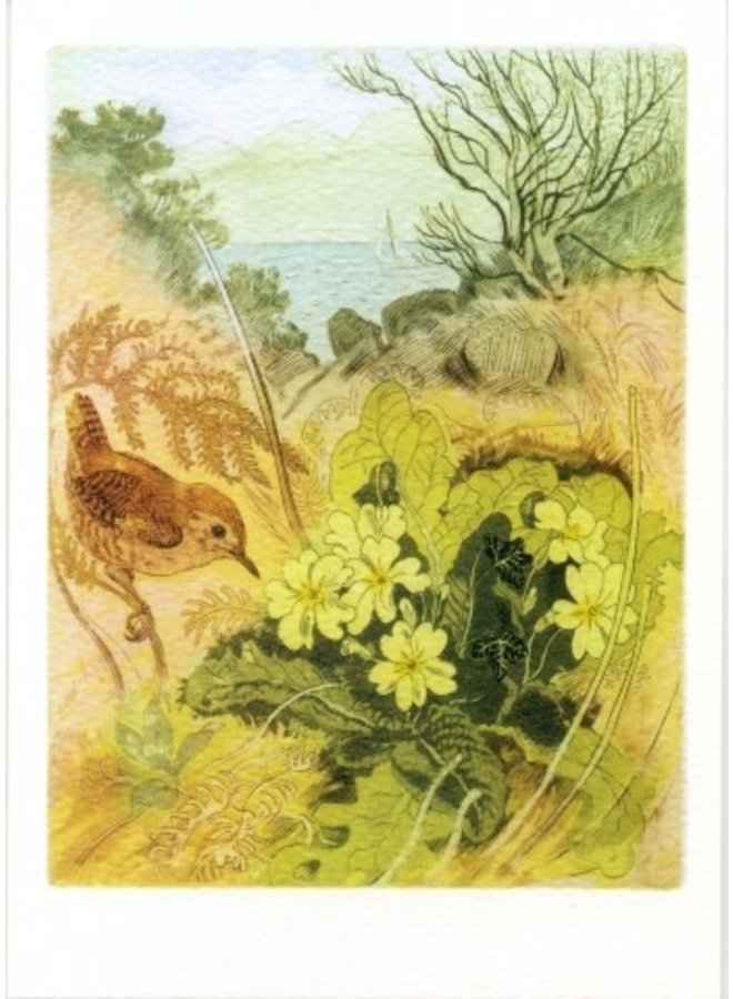 Wren and Primroses by D Koster 140x 180mm card