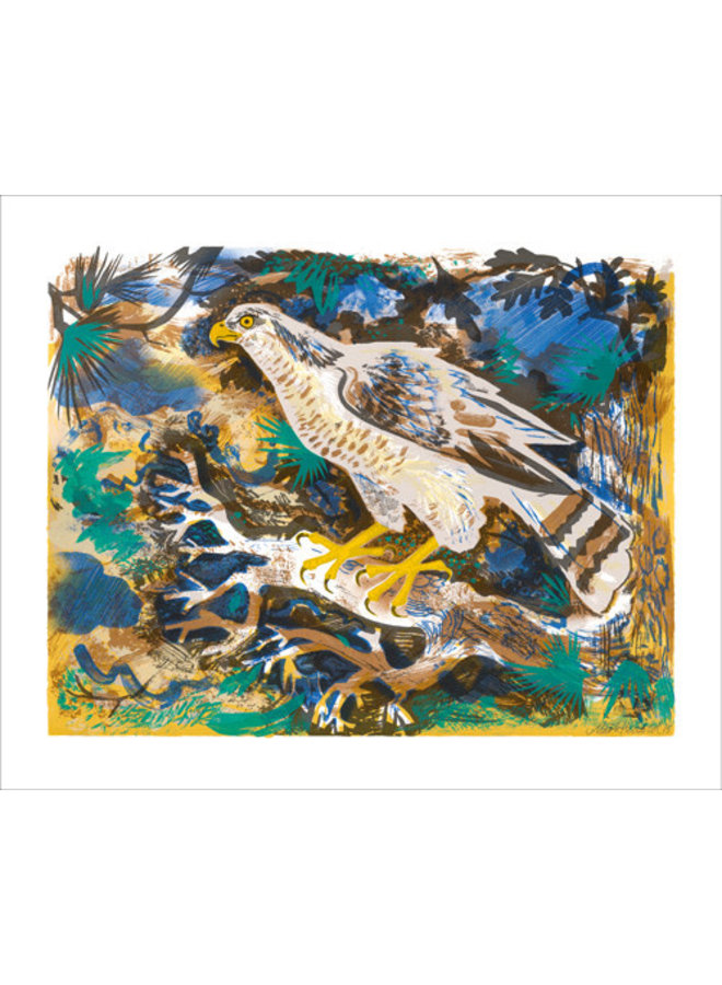 Hawk Eye av Mark Hearld