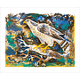Falkenauge von Mark Hearld