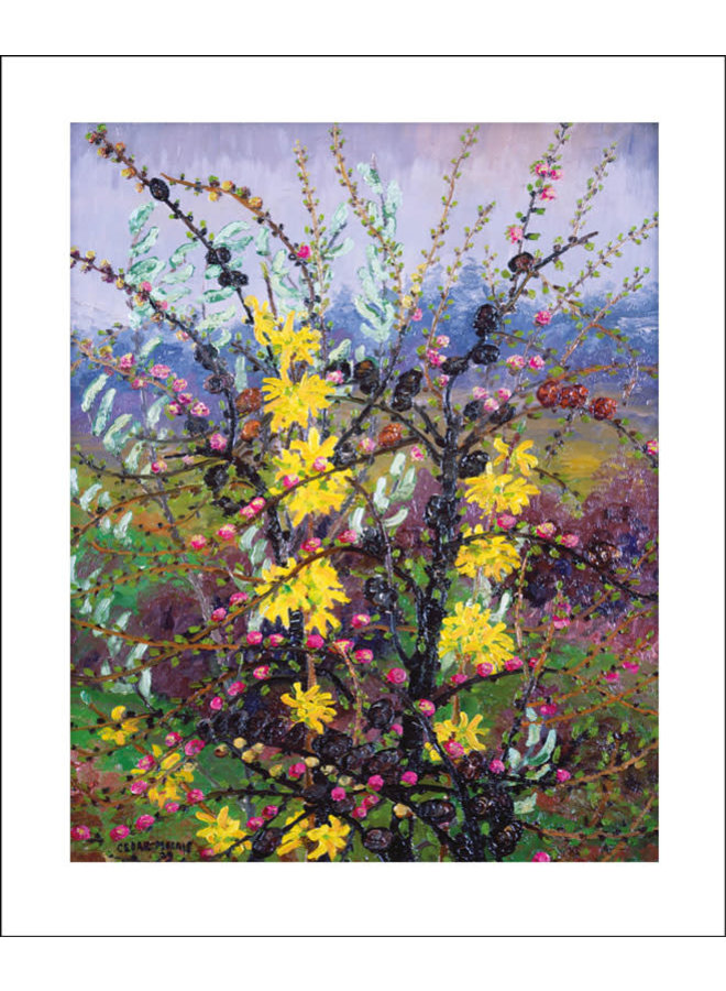 Shrubs by Cedric Morris