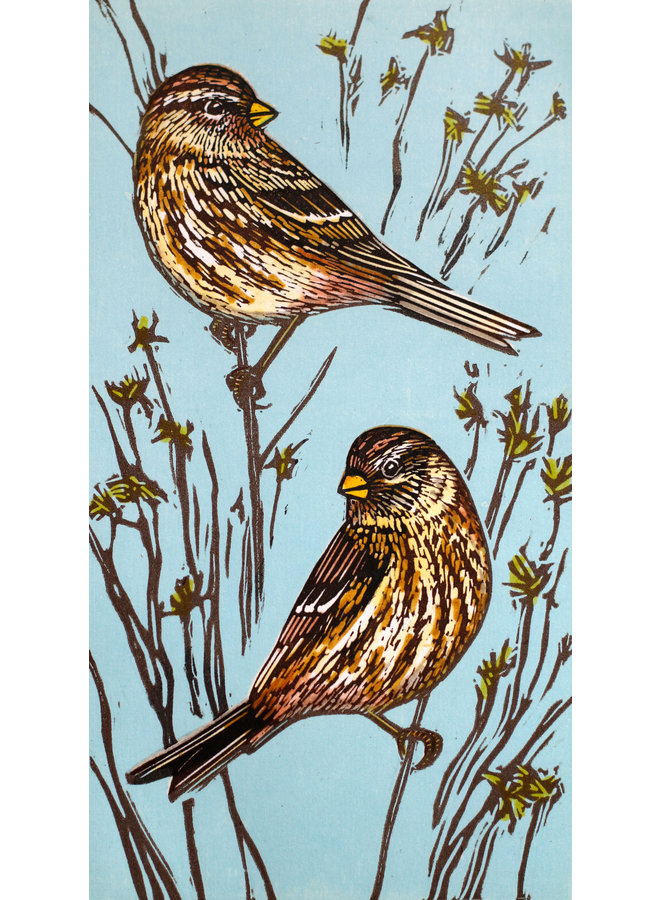 Two Twites