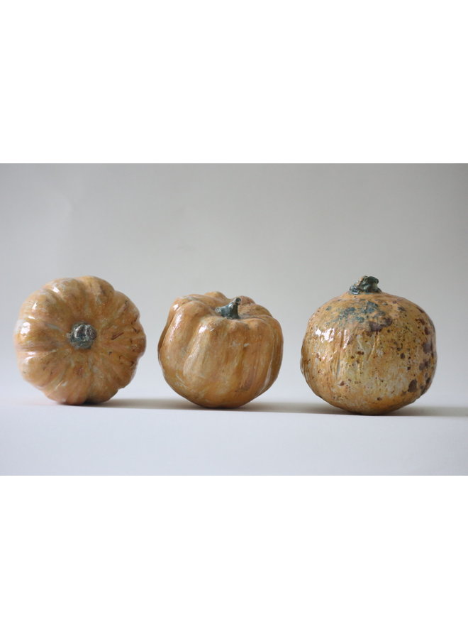 Large Pumpkins - each