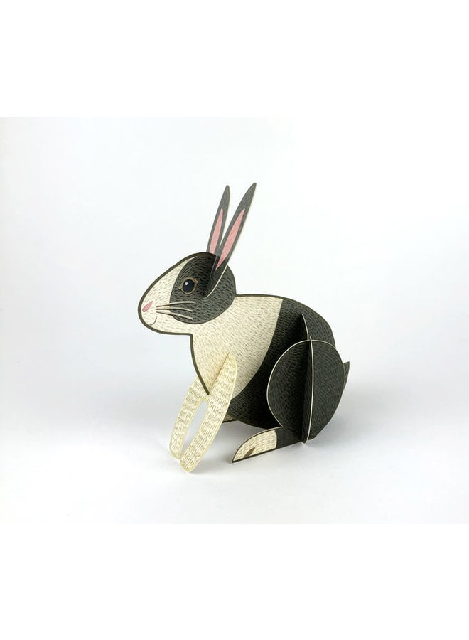 Rabbit  Pop-Out card by Alice Melvin