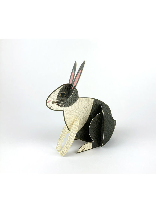 Tarjeta desplegable Rabbit de Alice Melvin