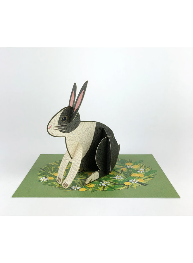 Kaninchen-Pop-Out-Karte von Alice Melvin
