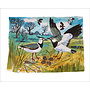 Lapwings Nest card by Mark Hearld