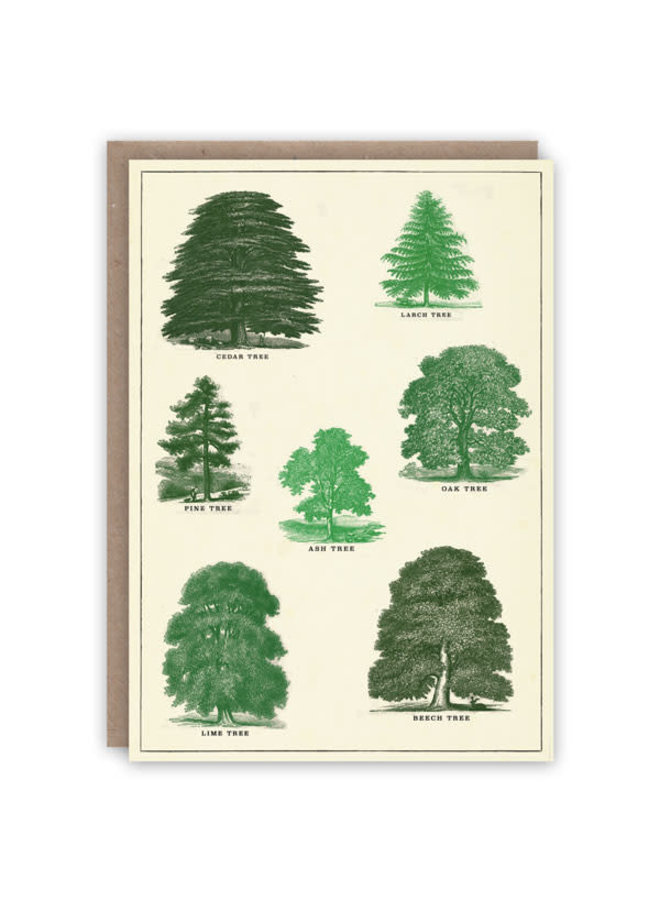 Carte de livre de modèle d'arbres