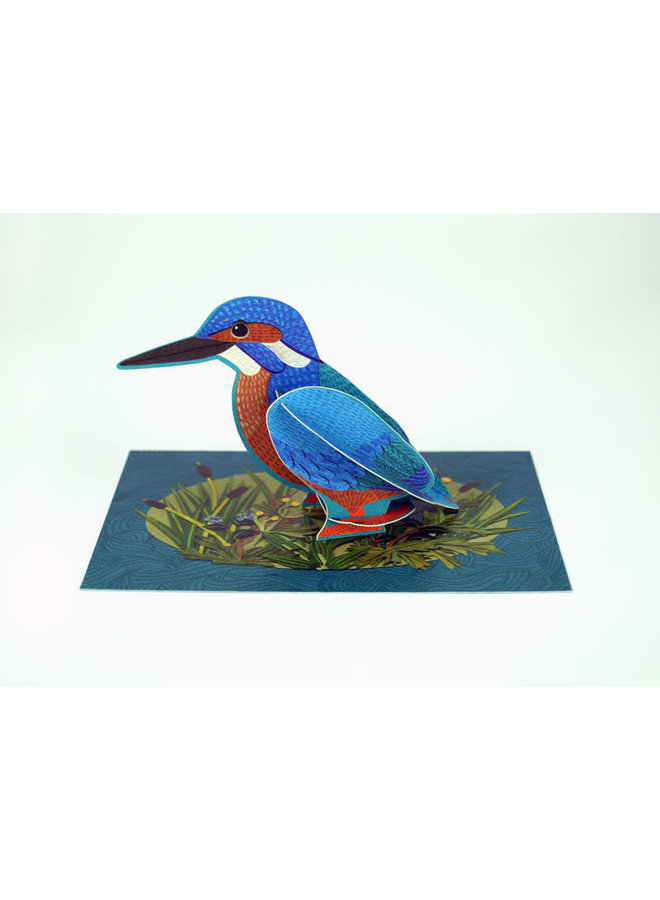 Kingfisher  Pop-Out card by Alice Melvin