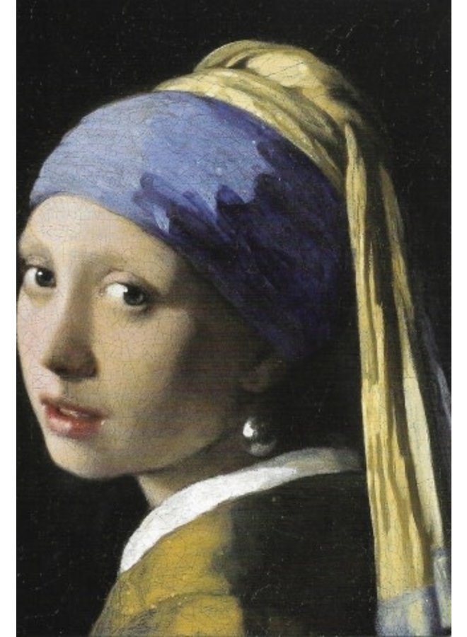 Girl with Pearl Earring by Vermeer 180 x 140cm