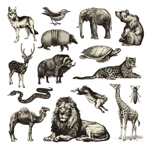 Animales