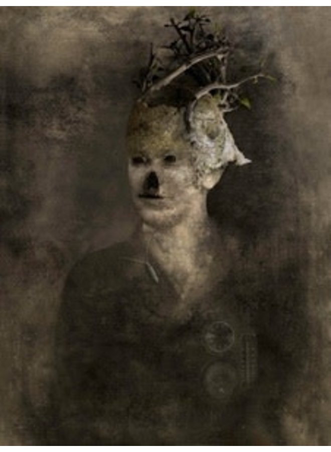 Автоматическая печать Framed 30