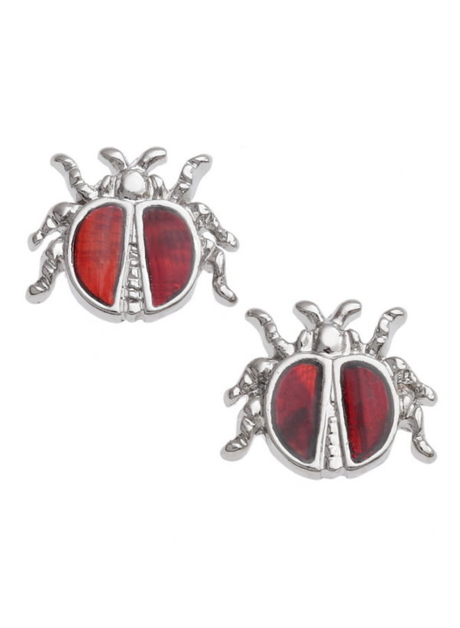 Boucles d'oreilles clous coquillage Paua coccinelle E011