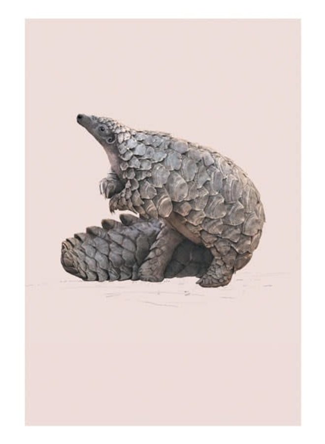 Pangolin Natural History Card av Ben Rothery