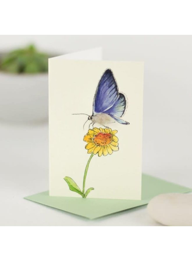 Blå fjäril på blomma minikort 12
